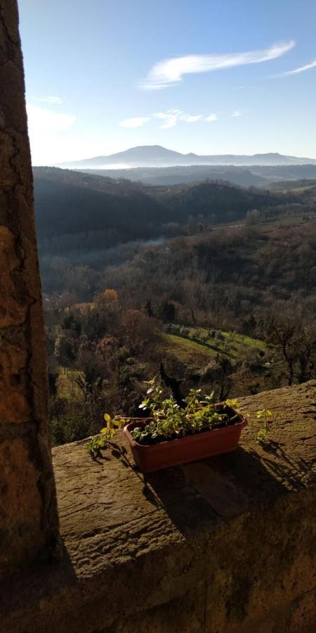 Dimora Turistica De' Piazza Hotell Roccalvecce Exteriör bild